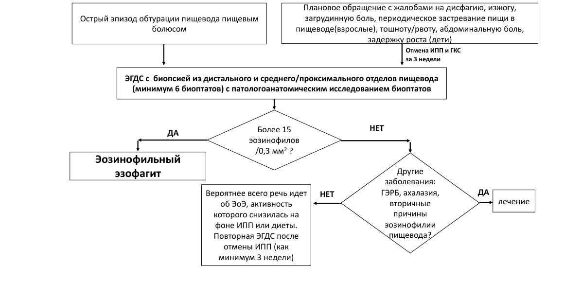 Блок-схема алгоритма диагностики ЭоЭ: острый эпизод обтурации/плановое обращение → отмена ИПП и ГКС за 3 недели → ЭГДС с биопсией (минимум 6 биоптатов) → >15 эозинофилов/0,3 мм² → ЭоЭ или исключение других заболеваний (ГЭРБ, ахалазия)