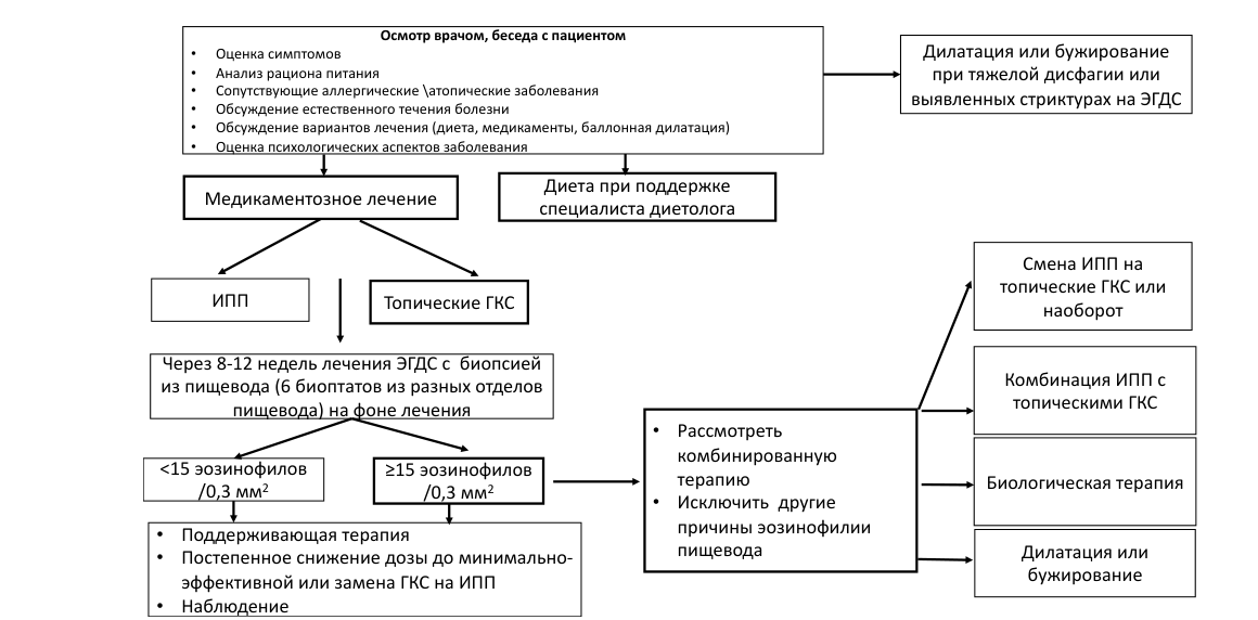 Блок-схема алгоритма лечения ЭоЭ: осмотр и беседа → медикаментозное лечение (ИПП/топические ГКС) или диета или дилатация → ЭГДС через 8–12 недель → <15 или ≥15 эозинофилов/0,3 мм² → поддерживающая терапия либо комбинированная терапия/смена ИПП↔ГКС/биологическая терапия/дилатация